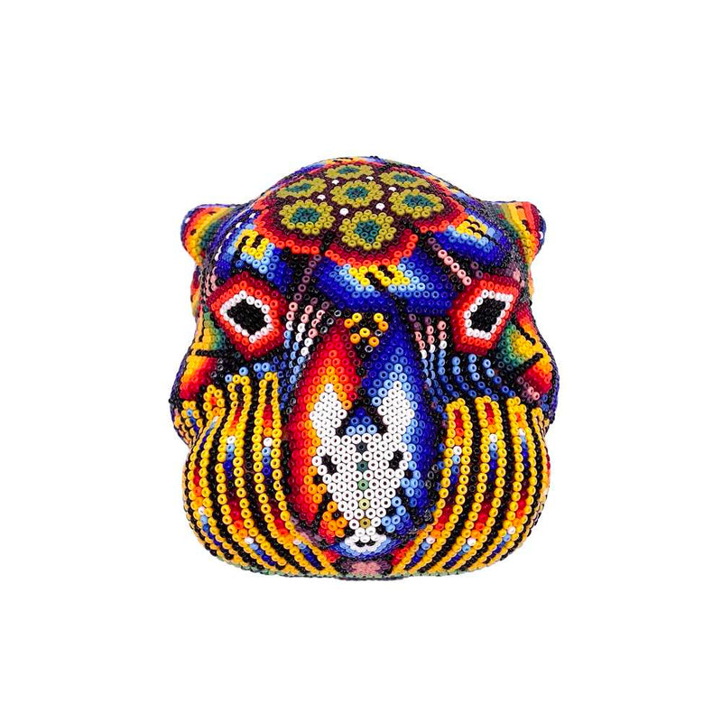 Colorful Jaguar Head