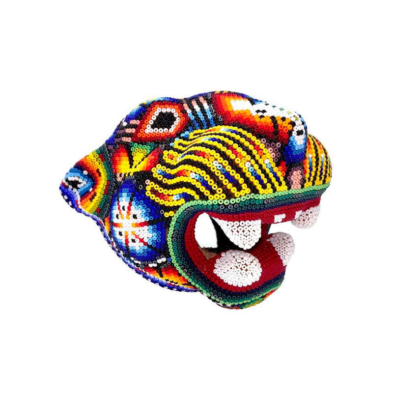 Colorful Jaguar Head
